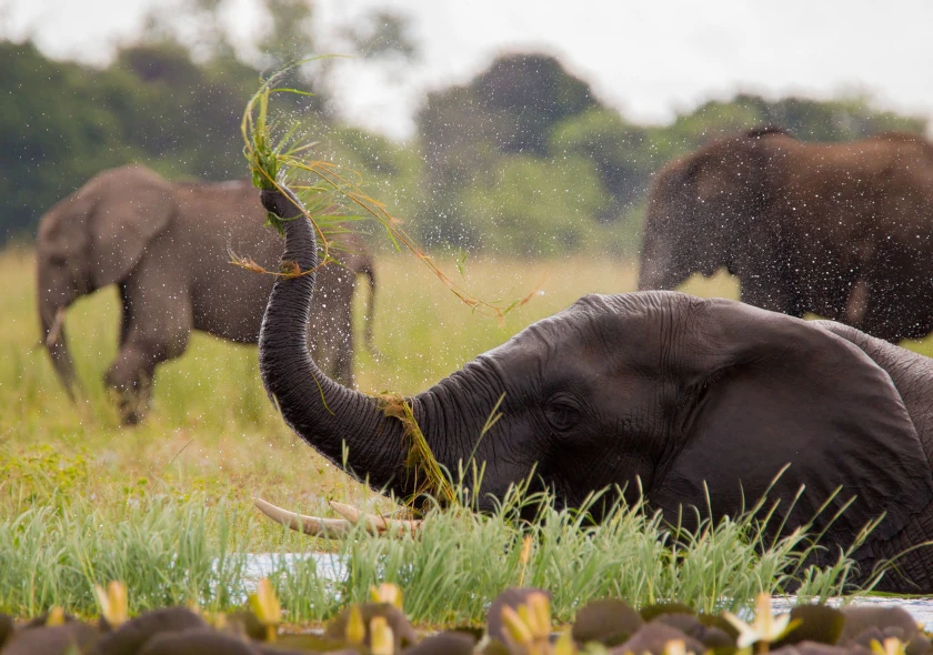 Namibia - Botswana - Victoria Falls