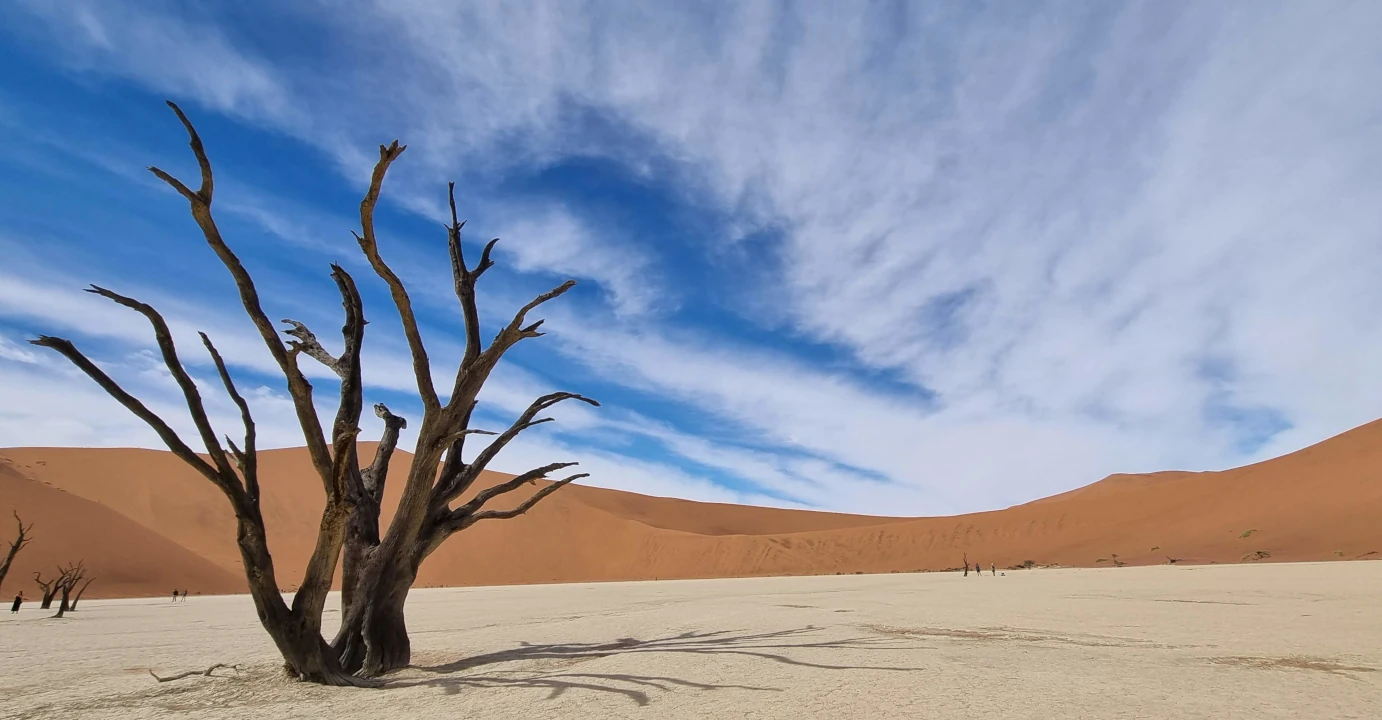  Namib Naukluft
