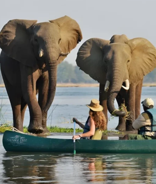 Kavango
